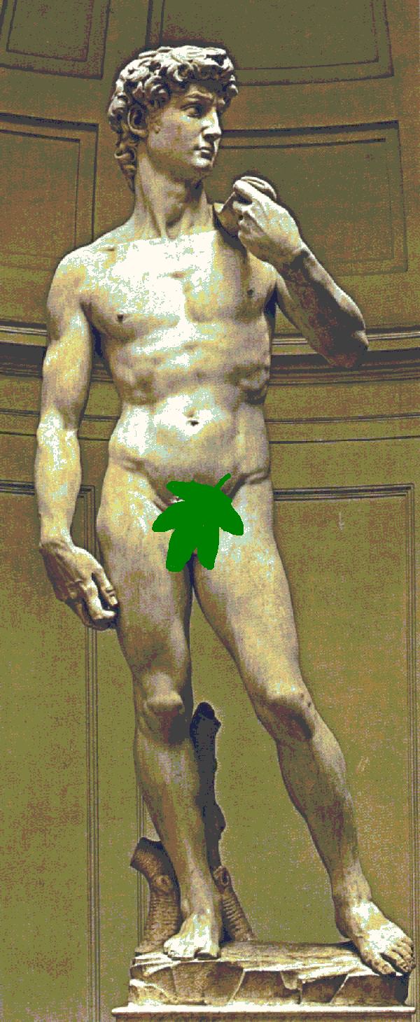 The David by Michelangelo